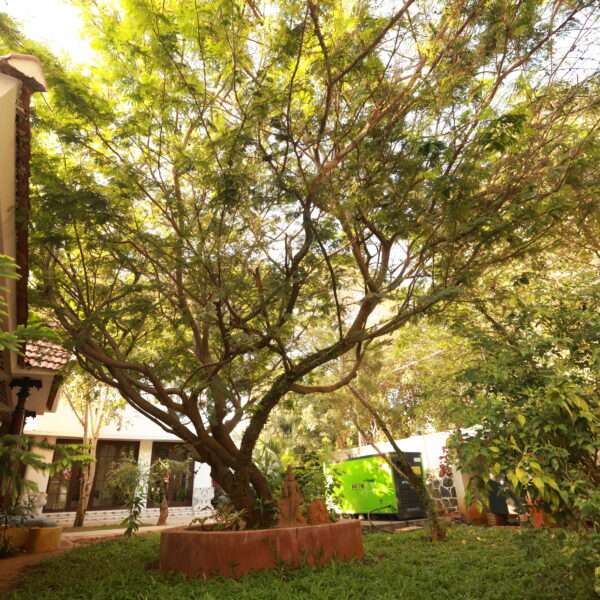 Marvels Villa - Luxury Resort in Auroville with Private Pool and Lush Forested Surroundings