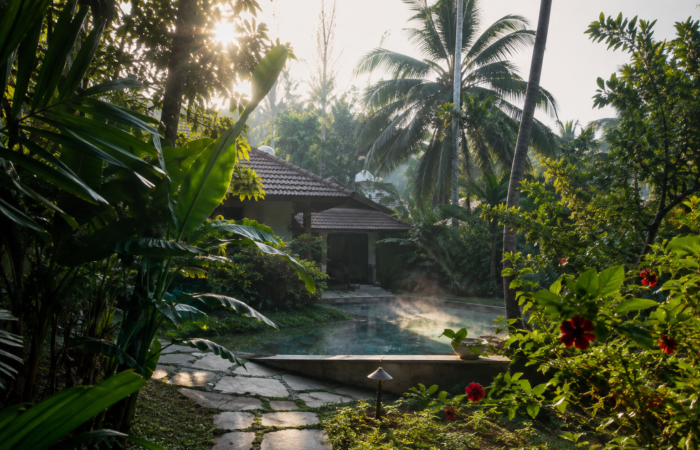 Misty Tropical Garden Pool Retreat Luxury Villa Near Aurovile